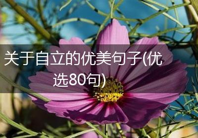 关于自立的优美句子(优选80句)