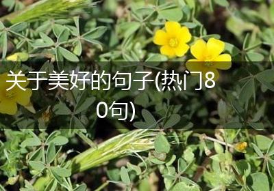 关于美好的句子(热门80句)