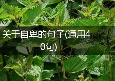 关于自卑的句子(通用40句)
