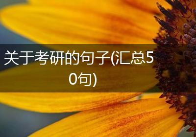 关于考研的句子(汇总50句)
