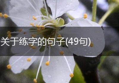 关于练字的句子(49句)