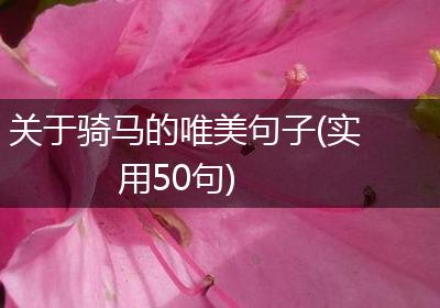 关于骑马的唯美句子(实用50句)