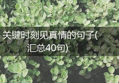 关键时刻见真情的句子(汇总40句)
