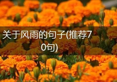 关于风雨的句子(推荐70句)