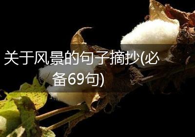 关于风景的句子摘抄(必备69句)
