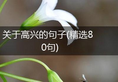 关于高兴的句子(精选80句)