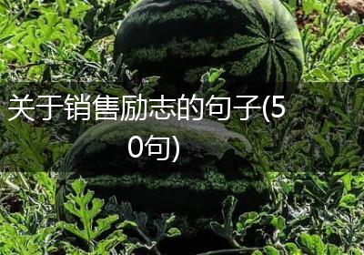 关于销售励志的句子(50句)
