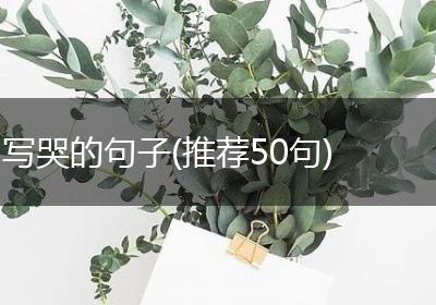 写哭的句子(推荐50句)