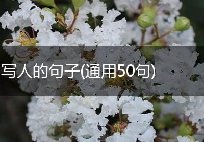 写人的句子(通用50句)