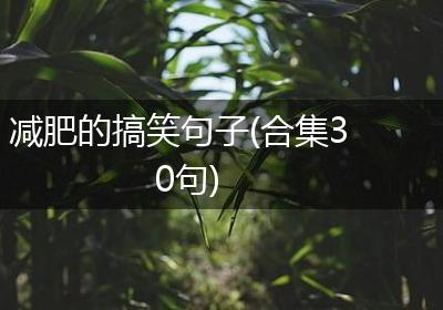 减肥的搞笑句子(合集30句)