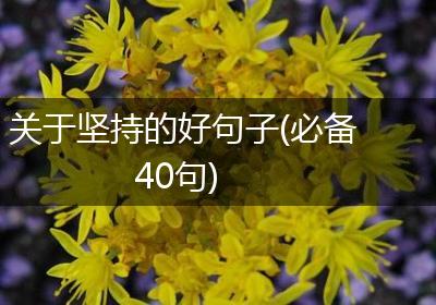 关于坚持的好句子(必备40句)