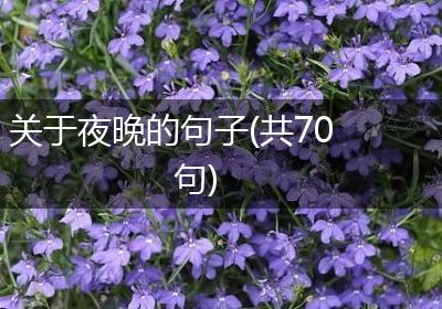 关于夜晚的句子(共70句)