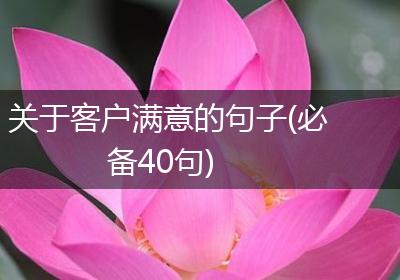 关于客户满意的句子(必备40句)