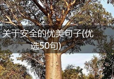 关于安全的优美句子(优选50句)