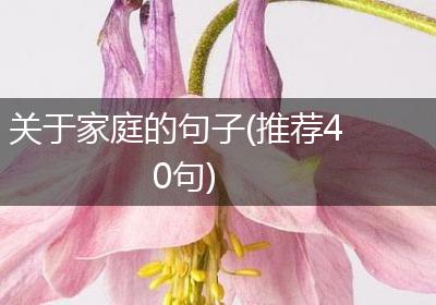 关于家庭的句子(推荐40句)