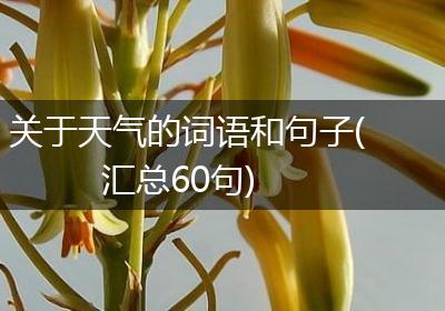 关于天气的词语和句子(汇总60句)