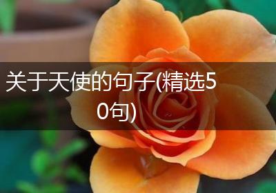 关于天使的句子(精选50句)
