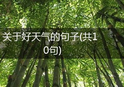 关于好天气的句子(共10句)
