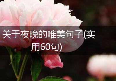 关于夜晚的唯美句子(实用60句)