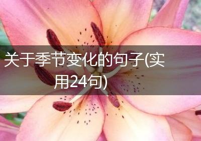 关于季节变化的句子(实用24句)