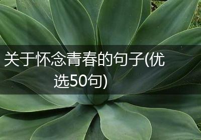 关于怀念青春的句子(优选50句)