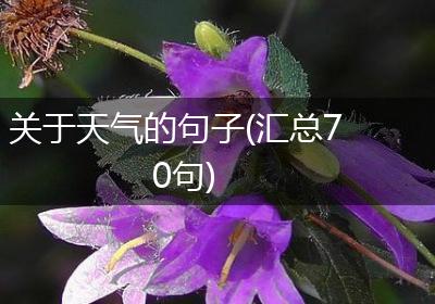 关于天气的句子(汇总70句)