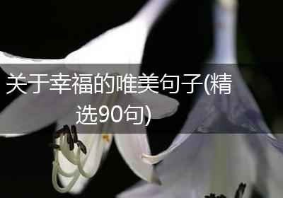 关于幸福的唯美句子(精选90句)