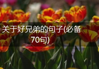 关于好兄弟的句子(必备70句)
