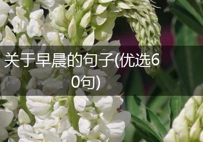 关于早晨的句子(优选60句)