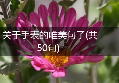 关于手表的唯美句子(共50句)