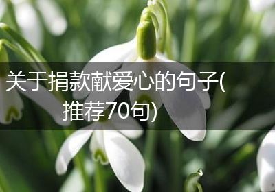 关于捐款献爱心的句子(推荐70句)