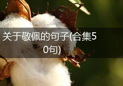关于敬佩的句子(合集50句)