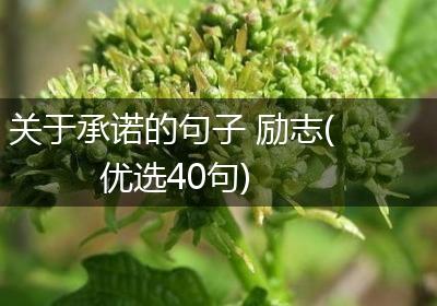 关于承诺的句子 励志(优选40句)