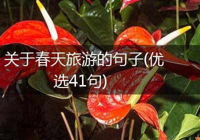 关于春天旅游的句子(优选41句)