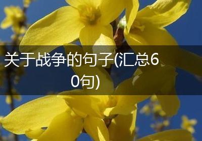 关于战争的句子(汇总60句)