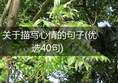 关于描写心情的句子(优选40句)