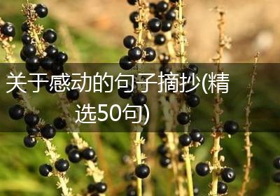 关于感动的句子摘抄(精选50句)