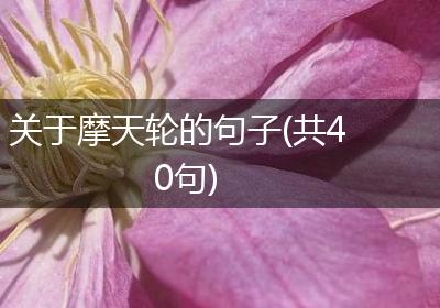 关于摩天轮的句子(共40句)