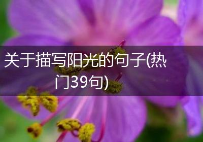 关于描写阳光的句子(热门39句)