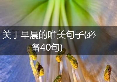 关于早晨的唯美句子(必备40句)