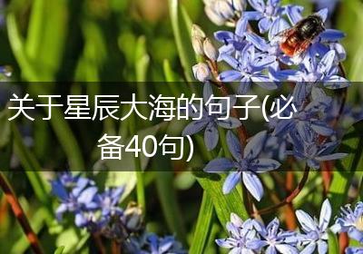 关于星辰大海的句子(必备40句)