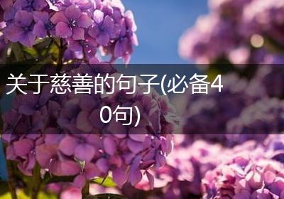 关于慈善的句子(必备40句)