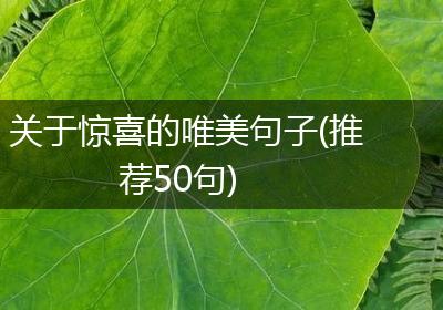 关于惊喜的唯美句子(推荐50句)