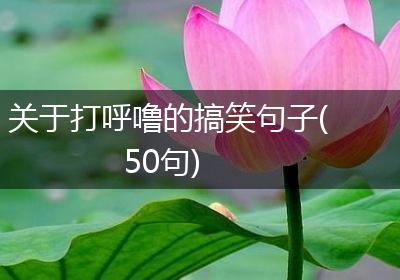 关于打呼噜的搞笑句子(50句)