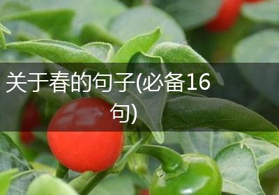 关于春的句子(必备16句)