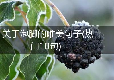 关于泡脚的唯美句子(热门10句)