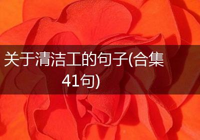 关于清洁工的句子(合集41句)