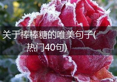 关于棒棒糖的唯美句子(热门40句)