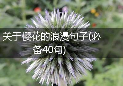 关于樱花的浪漫句子(必备40句)