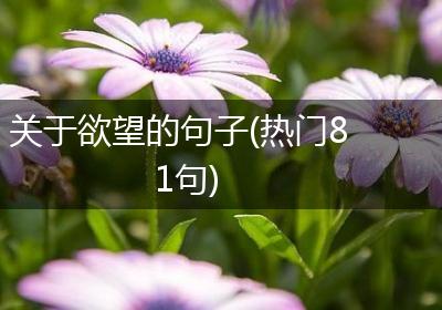 关于欲望的句子(热门81句)